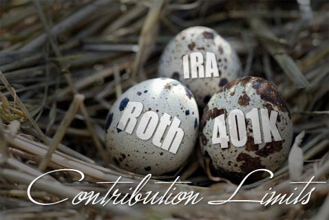 2011 Roth IRA Contribution Limit And Phaseouts