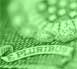 Retiring Wealthy On An Average Salary